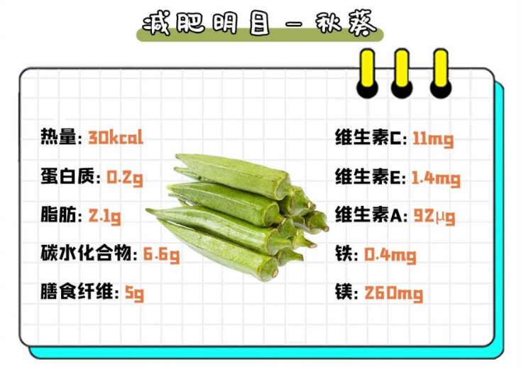 丝瓜和绿巨人蕾丝秋葵的功效