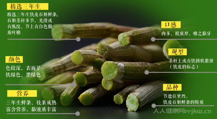 铁皮石斛的功效与作用适合哪些人