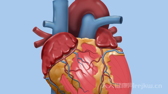 室性早搏是什么意思