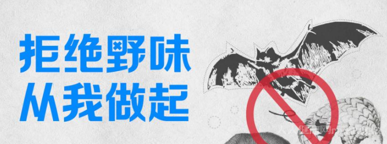 你知道为什么野生动物不能吃吗?吃野生动物的危害要记牢