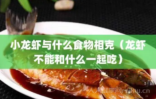 什么东西和虾相克 与虾相克的20种食物